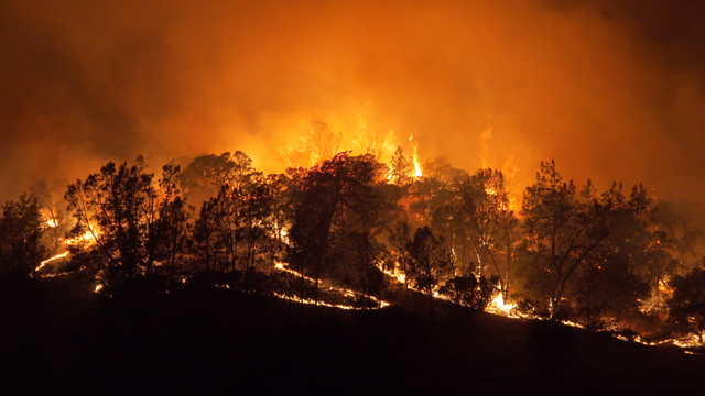 Burning hillside with backburns in California. Credit:Tim Walton